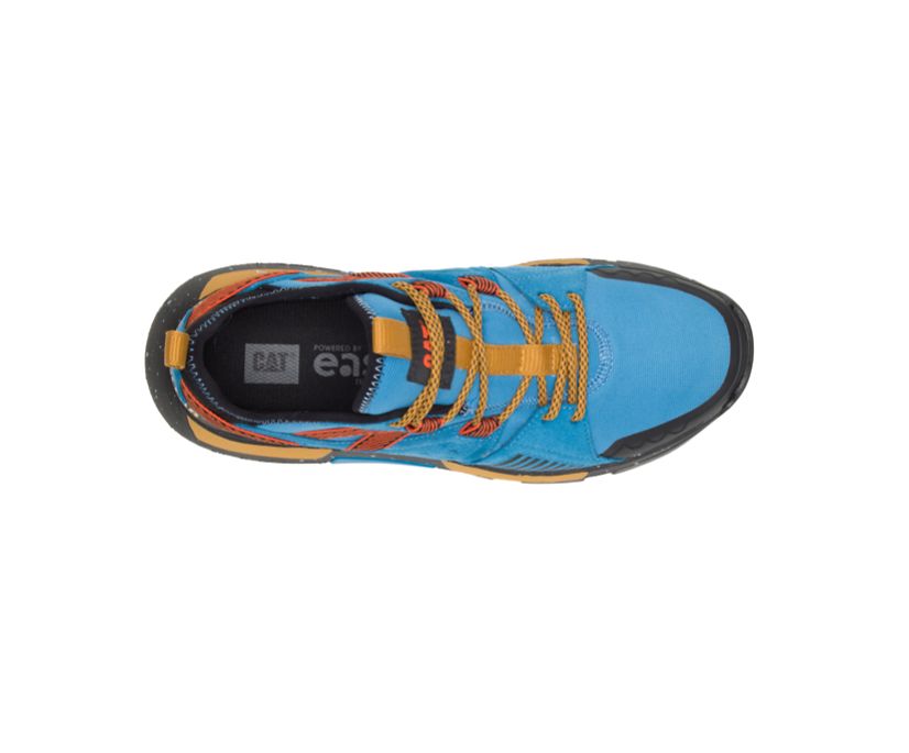 Men's Cat Raider Sport Shoes Blue / Black | 365UYFVMT